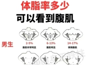 你有腹肌吗？体脂率多少可以看到腹肌？