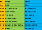 跑步是有氧运动还是无氧运动？如何知道我是否适合跑步运动？新手需要注意些啥？