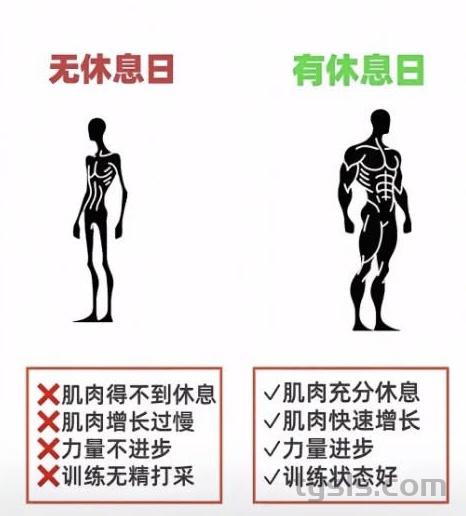 [重要]健身不要天天练，必须要有休息日