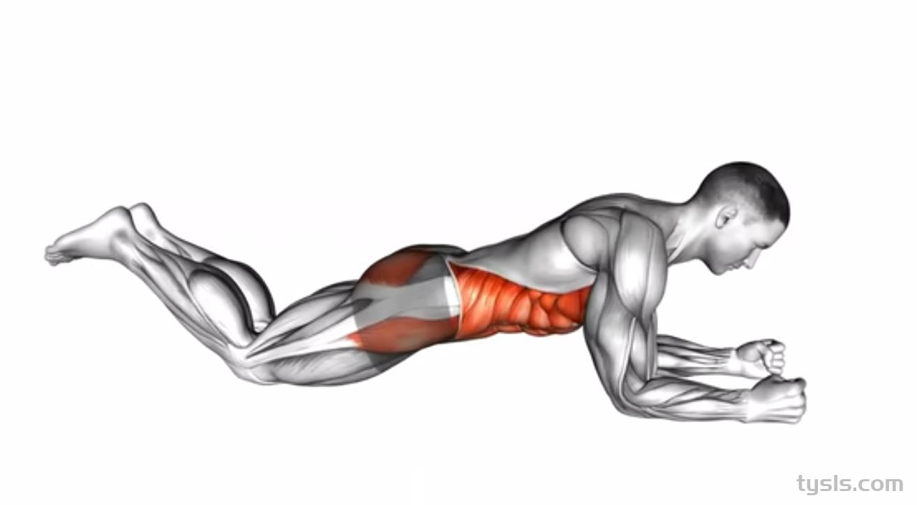 平板支撑从入门到精通!!!第一步:跪姿平板支撑