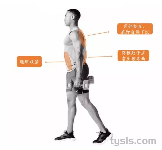 农夫行走是什么动作?有什么好处?如何练习?