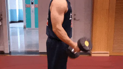 哑铃弯举常见的五个错误及纠正方法